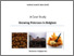 [thumbnail of 1_full-report-Growing-Potatoes-in-Belgium.pdf]