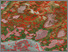 [thumbnail of screenshot.png]
