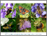 [thumbnail of ETC BE Working Paper_Criteria and methods to identify Key Pollinator Areas (KPAs) and Buzz Lines.pdf]
