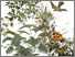 [thumbnail of 5 Tree-Quest_museum.pdf]